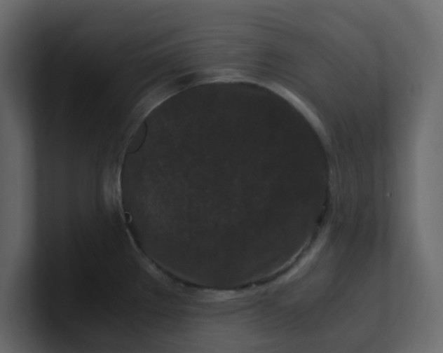 X0000101101289200807101439