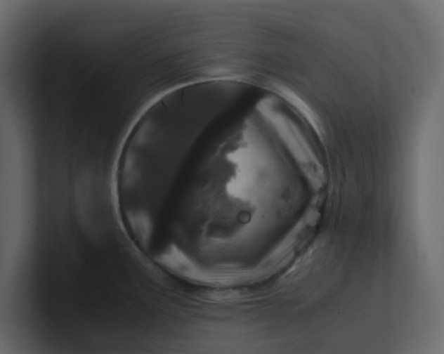 X0000101101291200807101439