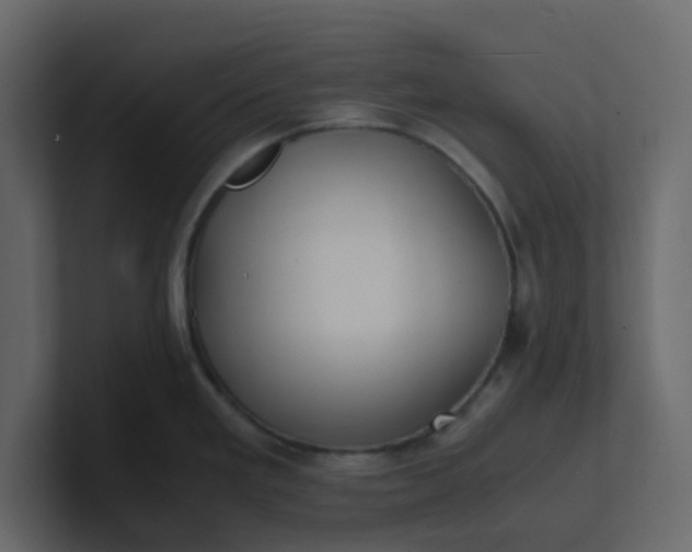 X0000101101293200807101439