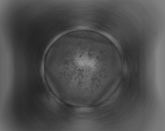 X0000101101294200807101439