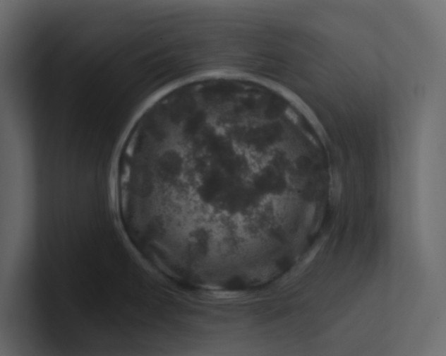 X0000101101295200807101439