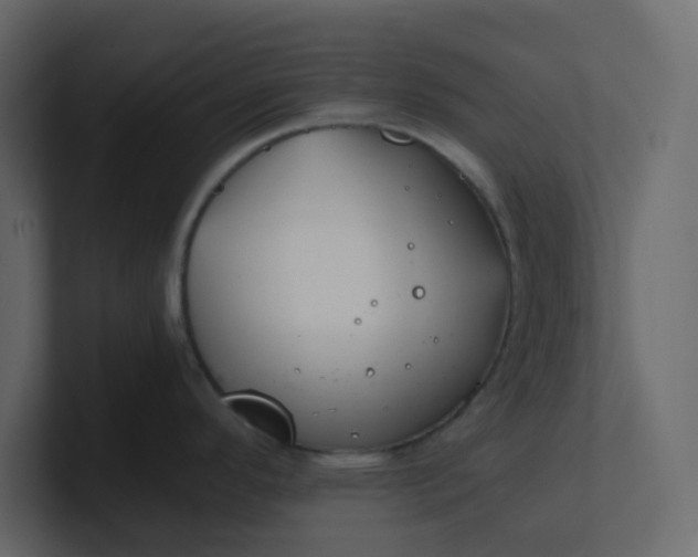 X0000101101296200807101439