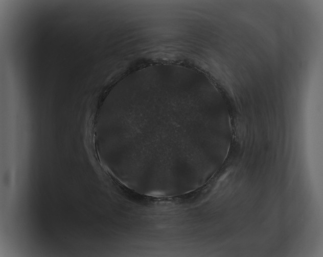 X0000101101297200807101439