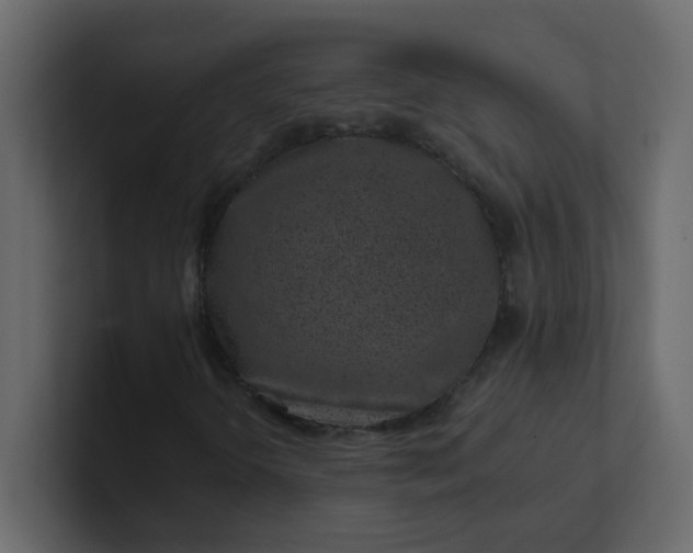 X0000101101298200807101439