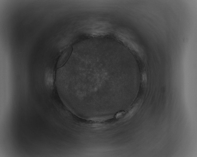 X0000101101300200807101439