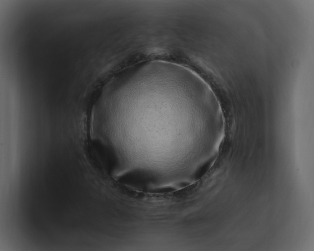 X0000101101301200807101439