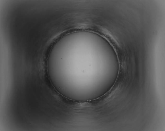 X0000101101304200807101439