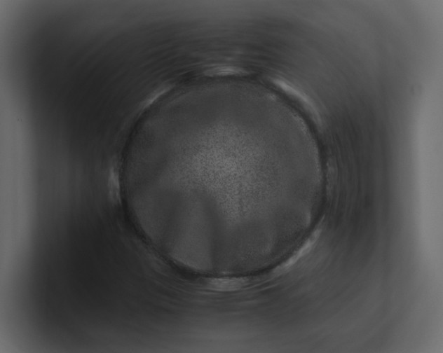 X0000101101305200807101439