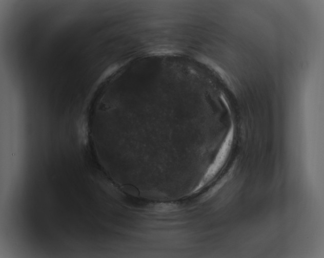 X0000101101306200807101439