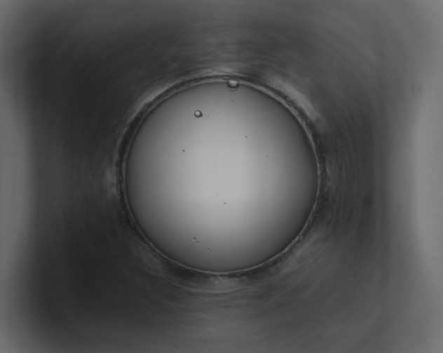 X0000101101308200807101439