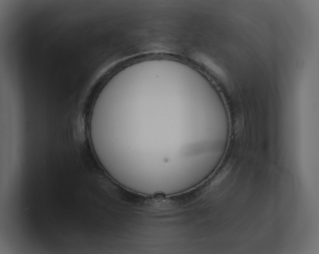 X0000101101310200807101439
