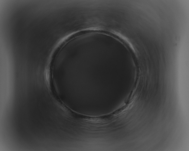 X0000101101319200807101439