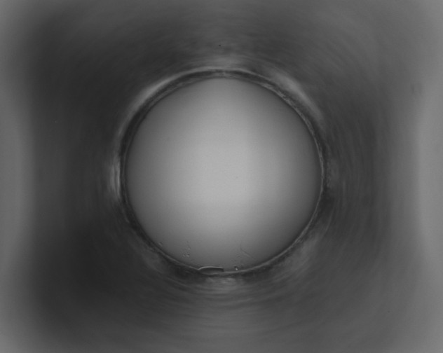 X0000101101320200807101439