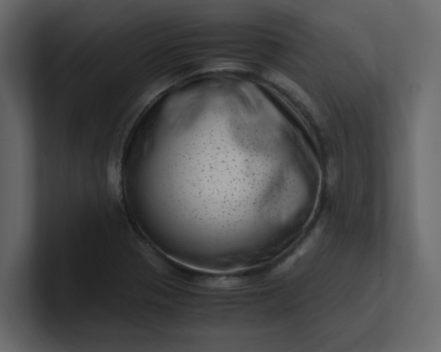 X0000101101321200807101439