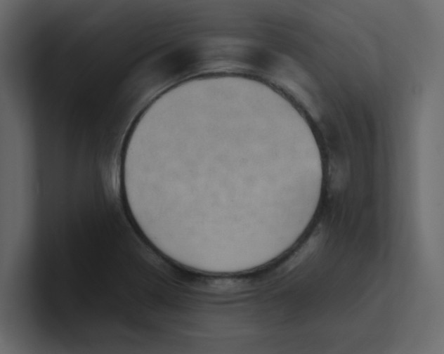 X0000101101322200807101439