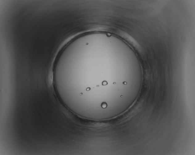 X0000101101324200807101439