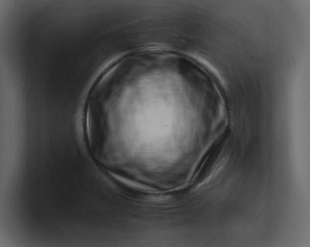 X0000101101325200807101439