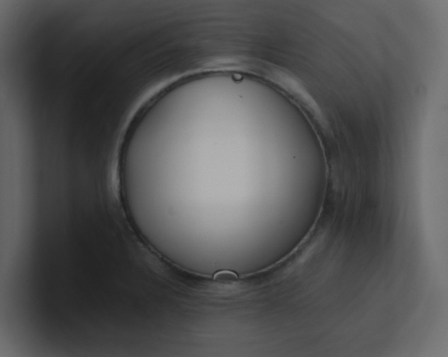X0000101101328200807101439