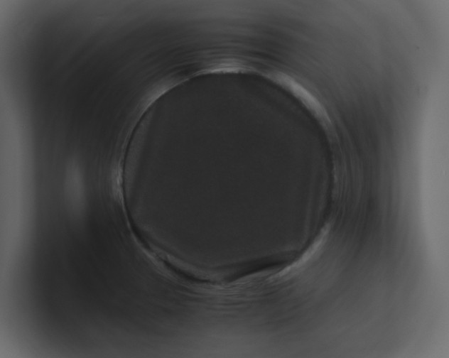X0000101101329200807101439