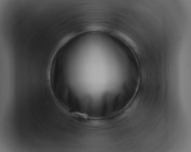 X0000101101330200807101439
