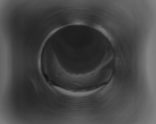 X0000101101331200807101439