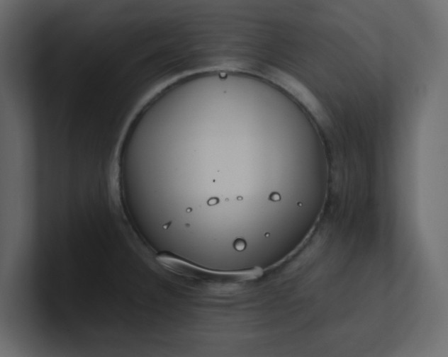 X0000101101332200807101439