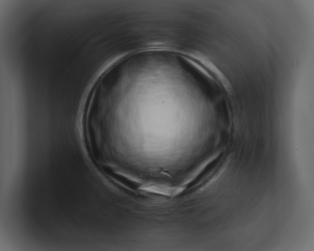 X0000101101333200807101439