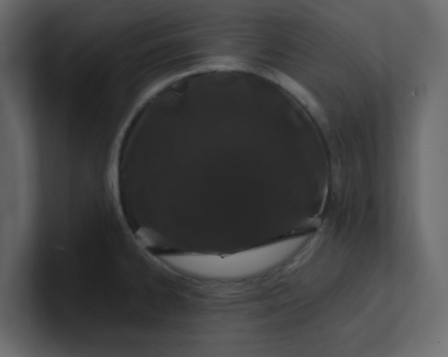 X0000101101334200807101439