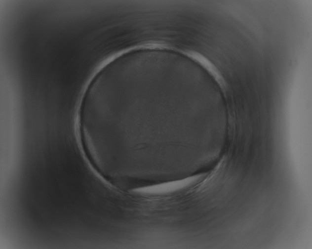 X0000101101335200807101439