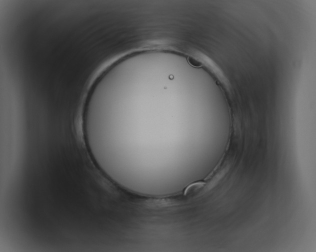 X0000101101336200807101439