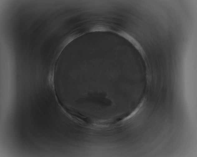 X0000101101337200807101439