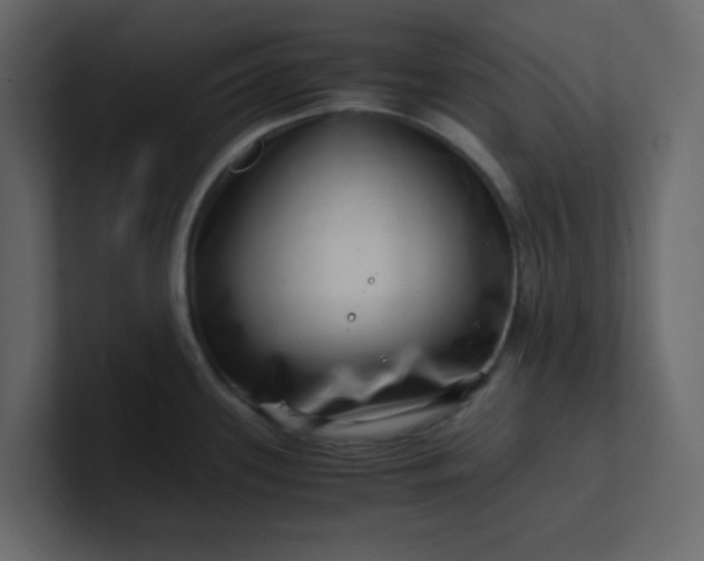X0000101101339200807101439