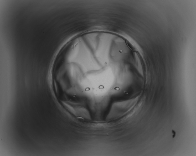 X0000101101341200807101439