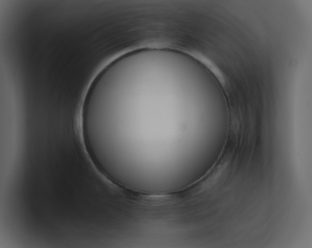 X0000101101343200807101439