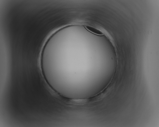 X0000101101344200807101439