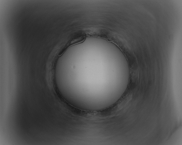 X0000101101345200807101439