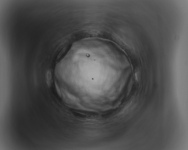 X0000101101347200807101439