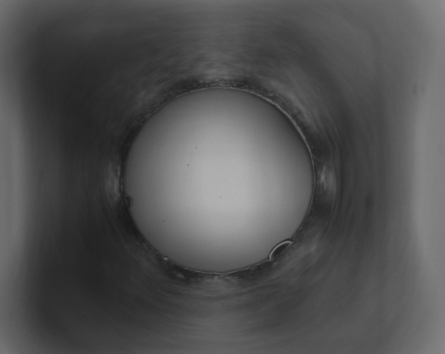 X0000101101348200807101439
