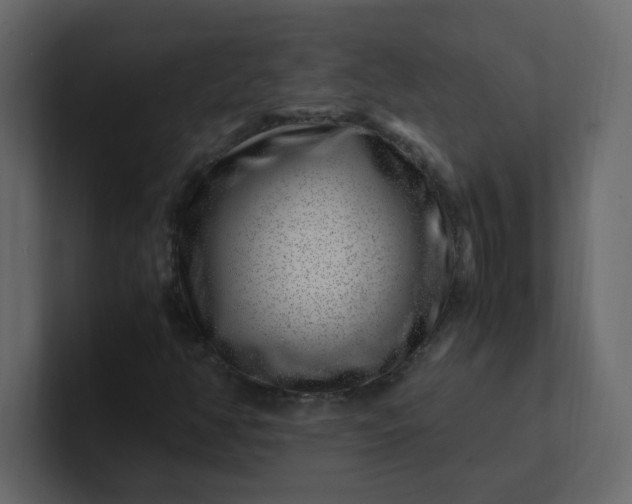 X0000101101350200807101439