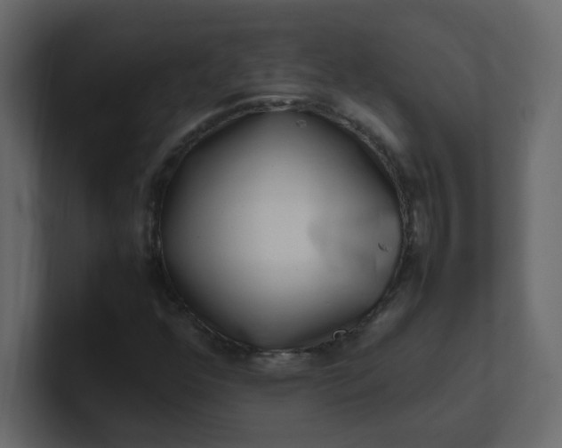 X0000101101352200807101439