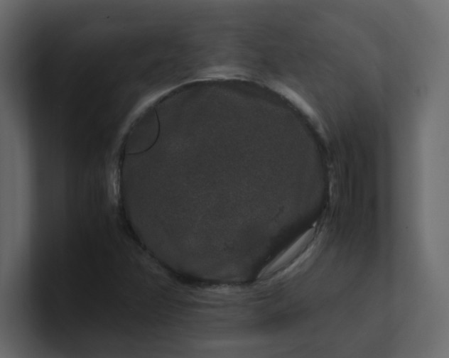 X0000101101358200807101438