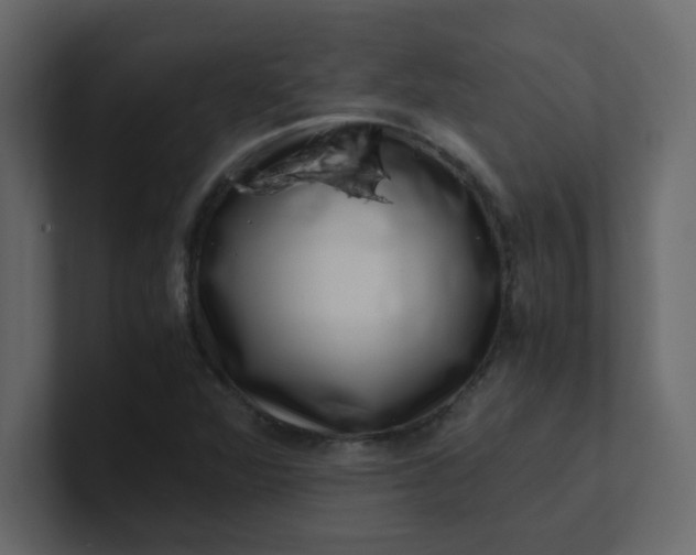 X0000101101360200807101438
