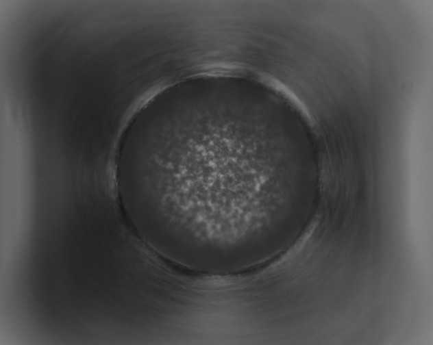 X0000101101362200807101438