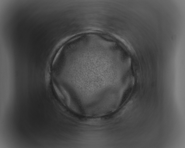 X0000101101363200807101438