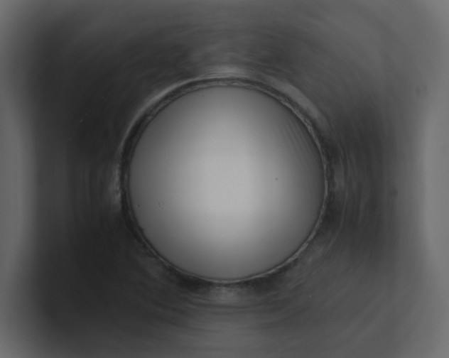 X0000101101364200807101438