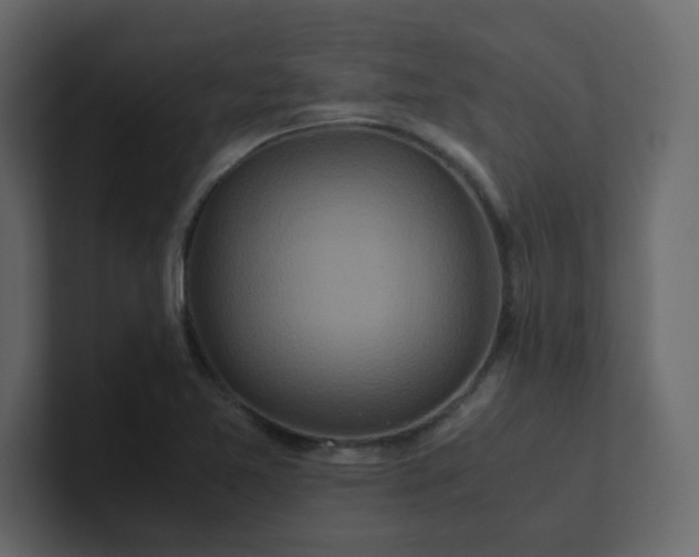 X0000101101365200807101438