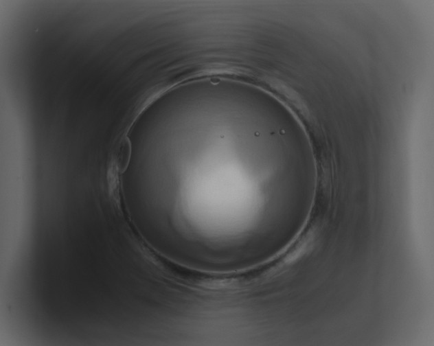 X0000101101369200807101438