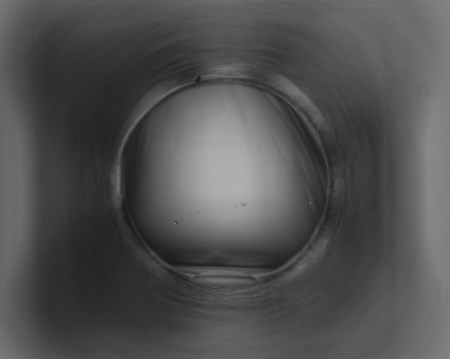 X0000101101370200807101438