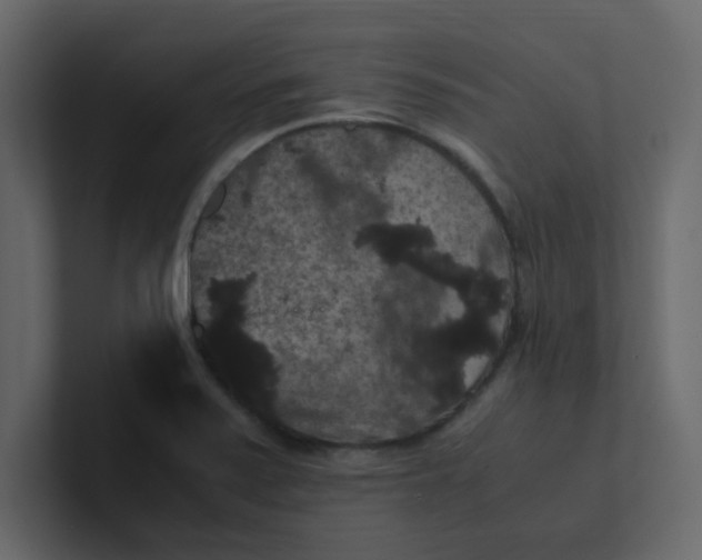 X0000101101371200807101438