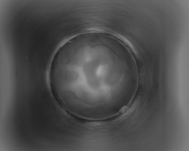 X0000101101373200807101438